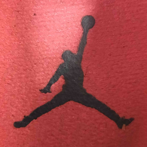 ジョーダンブランド JORDAN BRAND Air Jordan 4 Taupe Haze メンズ JPN:26.5