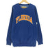 STEVE AND BARRYS FLORIDA カレッジ ワッペン リバース型 クルーネックスウェット メンズ import:L