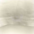COYSEIO HOUSE T-SHIRT レディース import:M