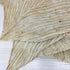 プリーツプリーズイッセイミヤケ PLEATS PLEASE ISSEY MIYAKE プリーツ 総柄 ストール レディース ONE SIZE