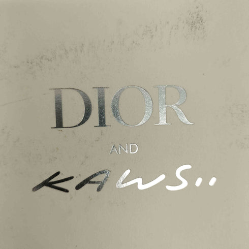 ディオール Dior 2025 蛇年 ステッカーセット メンズ