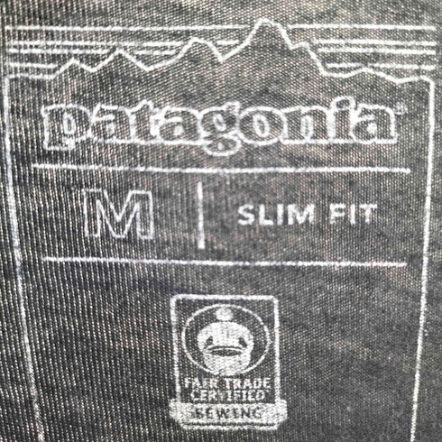 パタゴニア patagonia Men's Flying Fish Organic T-Shirt メンズ フライング フィッシュ オーガニック・Tシャツ メンズ M