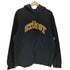 ステューシー Stussy CHENILLE ARCH ロゴ プルオーバーパーカー メンズ import:L