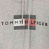 トミーヒルフィガー TOMMY HILFIGER ORGANIC COTTON BLEND ロゴプリント プルオーバーパーカー メンズ import:XL