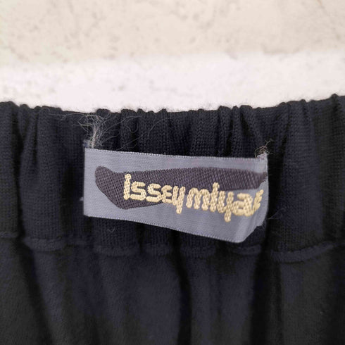 イッセイミヤケ ISSEY MIYAKE 筆タグ ウール スカート レディース JPN:M