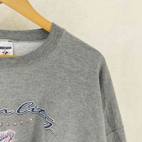 ジャージーズ JERZEES 00s プリント クルーネック スウェット メンズ 2XL
