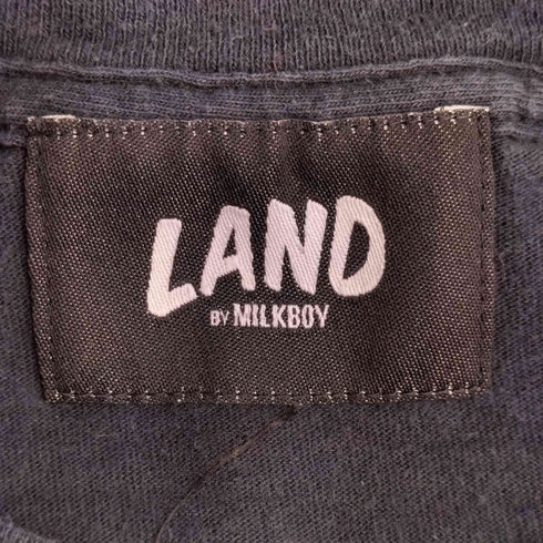 ランドバイミルクボーイ LAND by MILKBOY CARE BEARS ICE CREAM TEE ケアベア アイスクリーム Tシャツ レディース
