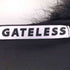 GATELESS ゲートレス ファーフードデザイン スリムパーカー Y2K レディース FREE