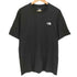 ザノースフェイス THE NORTH FACE S/S FD PIXEL PLANT COTTON TEE メンズ import:XL