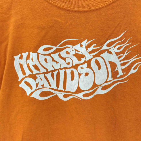 ハーレーダビッドソン HARLEY-DAVIDSON MADE IN USA USA製 両面 モーターサイクル ロゴ プリント Tシャツ メンズ import:L