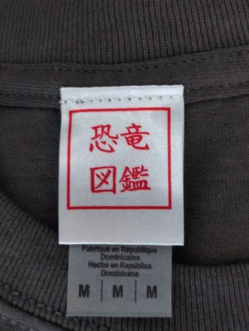 恐竜図鑑 プリントTシャツ メンズ JPN:M