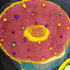 デシグアル Desigual IOLANDA LONG REP レディース import:XXL