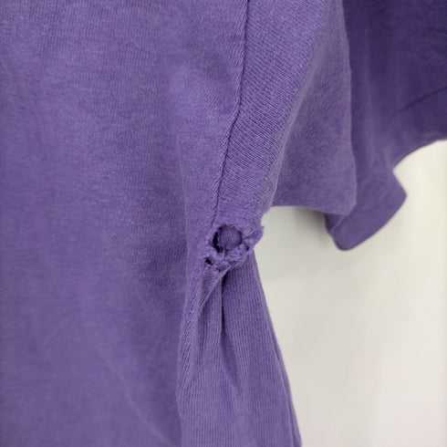 ヘインズ Hanes 90S LOS ANGELES刺繍 Tシャツ メンズ import:L