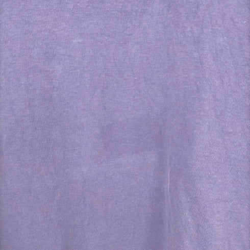 ヘインズ Hanes 90S LOS ANGELES刺繍 Tシャツ メンズ import:L