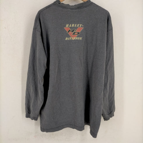 ハーレーダヴィットソン HARLEY DAVIDSON USA製 ロゴパッチ バックプリント ヘンリーネック カットソー メンズ JPN:XL