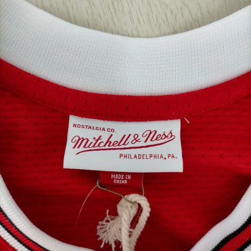 ミッチェルアンドネス mitchell&ness ROAD JERSEY BULLS 97-98 JORDAN AJY メンズ JPN:M