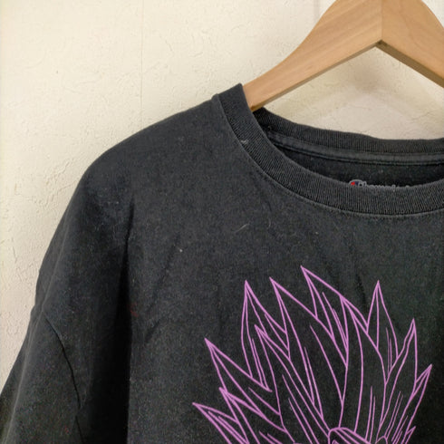 チャンピオン Champion DRAGONBALL Z 孫悟飯 キャラクタープリントTEE メンズ JPN:XL