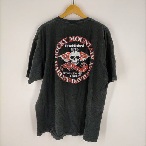 ハーレーダビッドソン HARLEY-DAVIDSON 両面プリント 半袖Tシャツ メンズ JPN:XXL