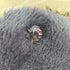 ザノースフェイス THE NORTH FACE Him Fleece Cap メンズ 服飾品の為無
