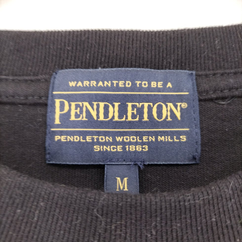 ペンドルトン PENDLETON バックサークルプリントTee メンズ M