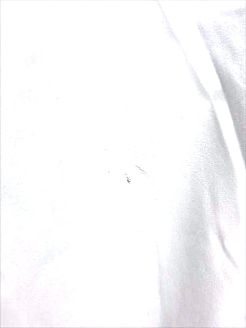 ザノースフェイス THE NORTH FACE エイペックスライトフーディ ナイロンマウンテンパーカー APEX LIGHT HOODIE レディース JPN:M JPN:M