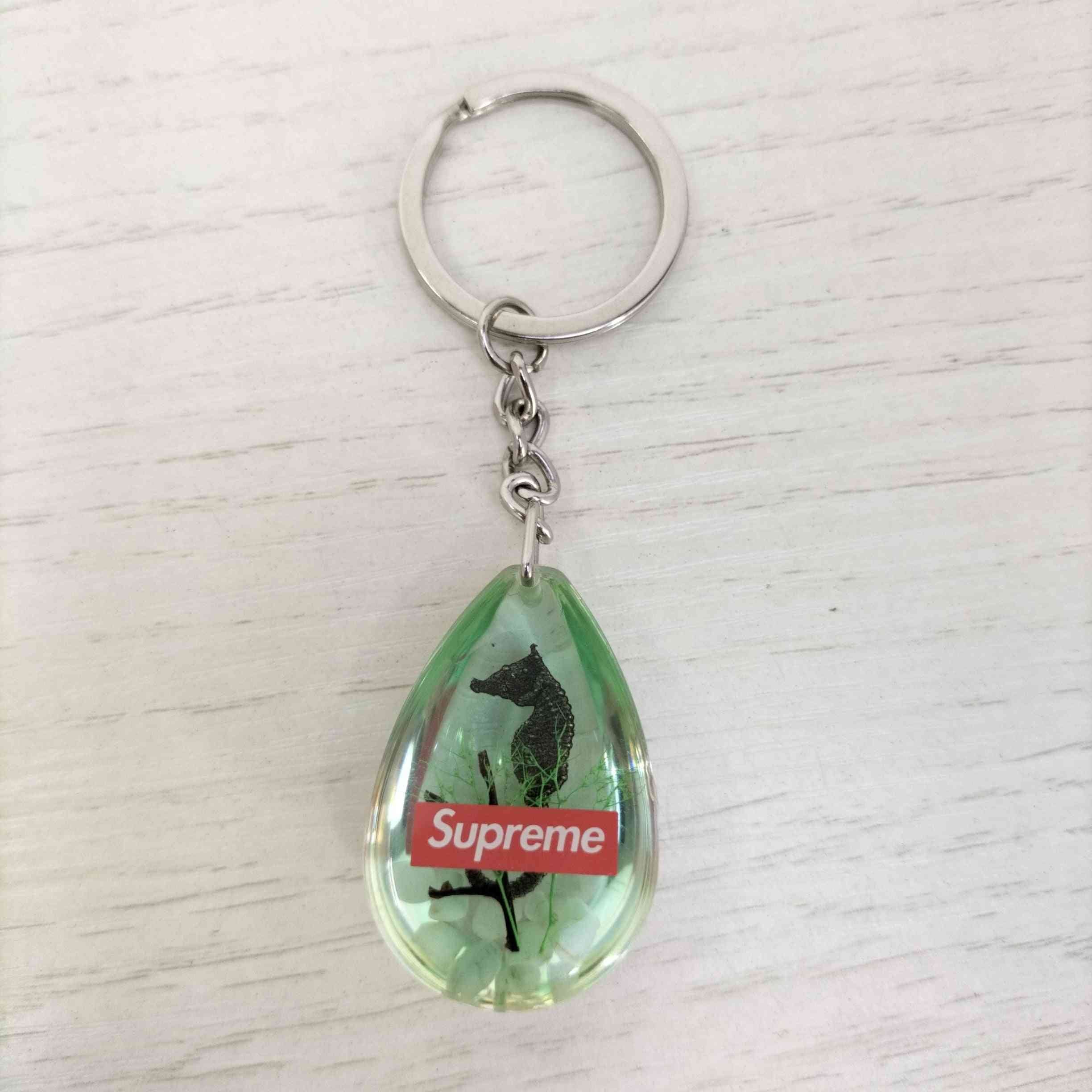 1131524523849-2.jpg?v=1713187421