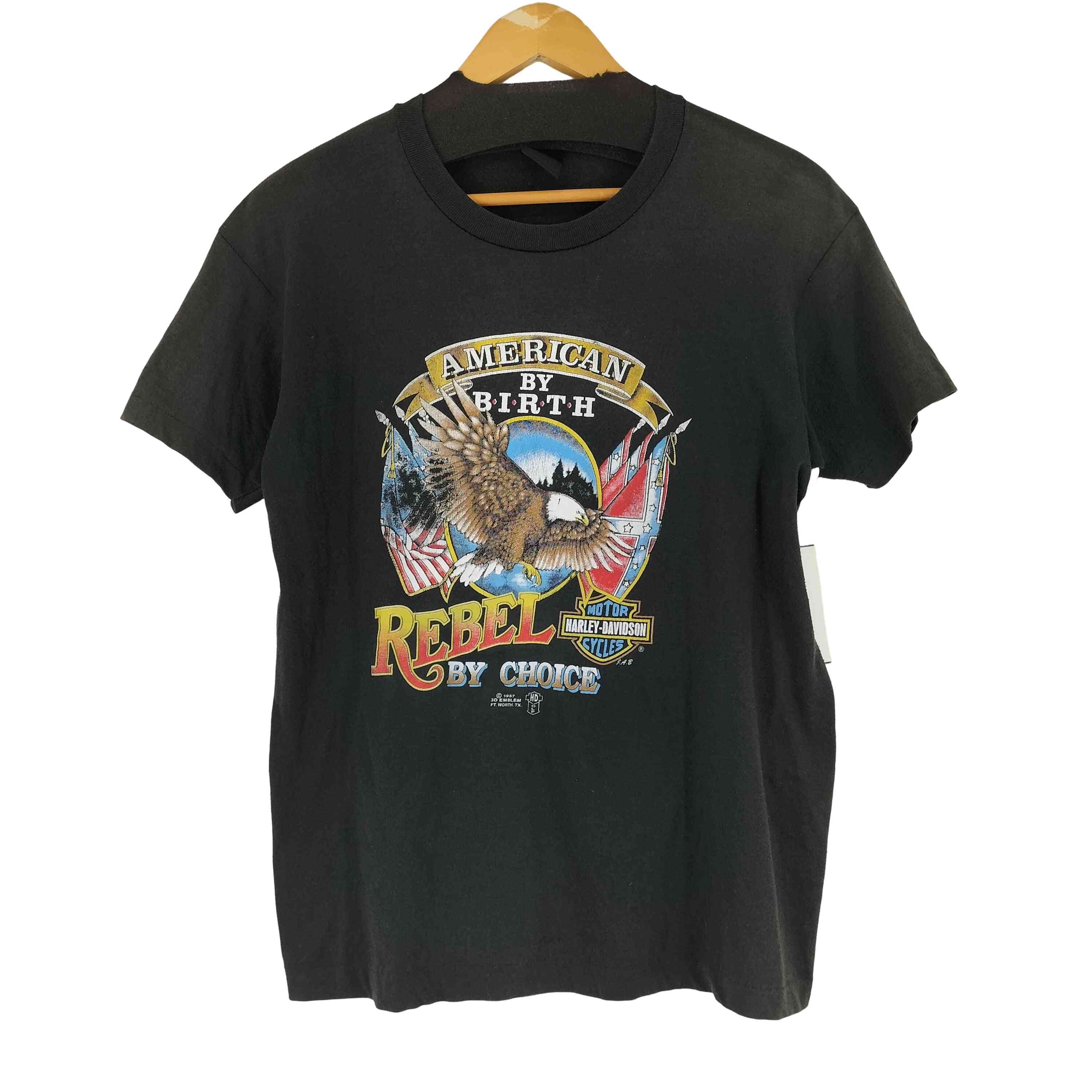 ダブルアールエルラルフローレン RRL RALPH LAUREN 90S 三ツ星タグ