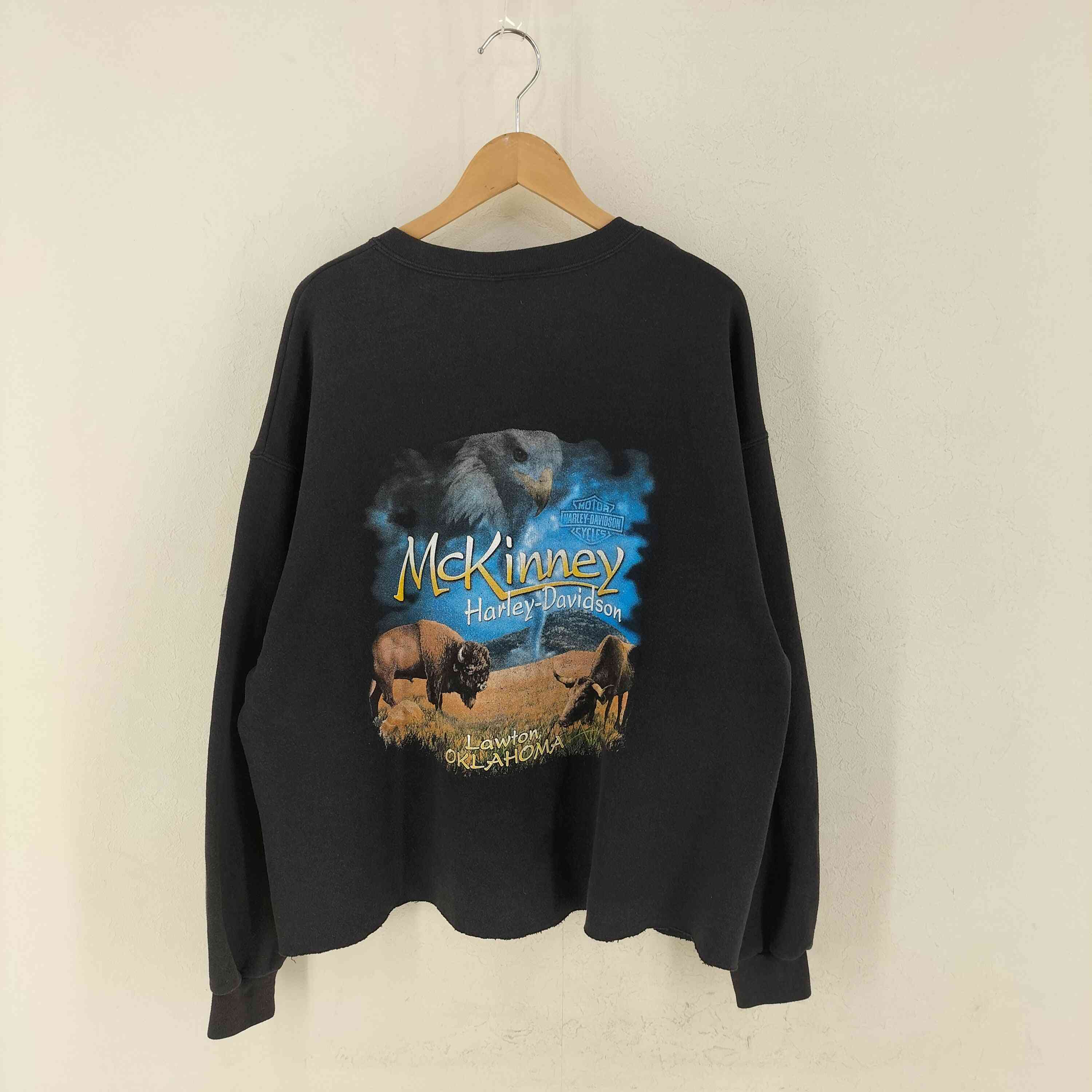 ハーレーダビッドソン HARLEY-DAVIDSON ロゴ アニマル 両面プリント