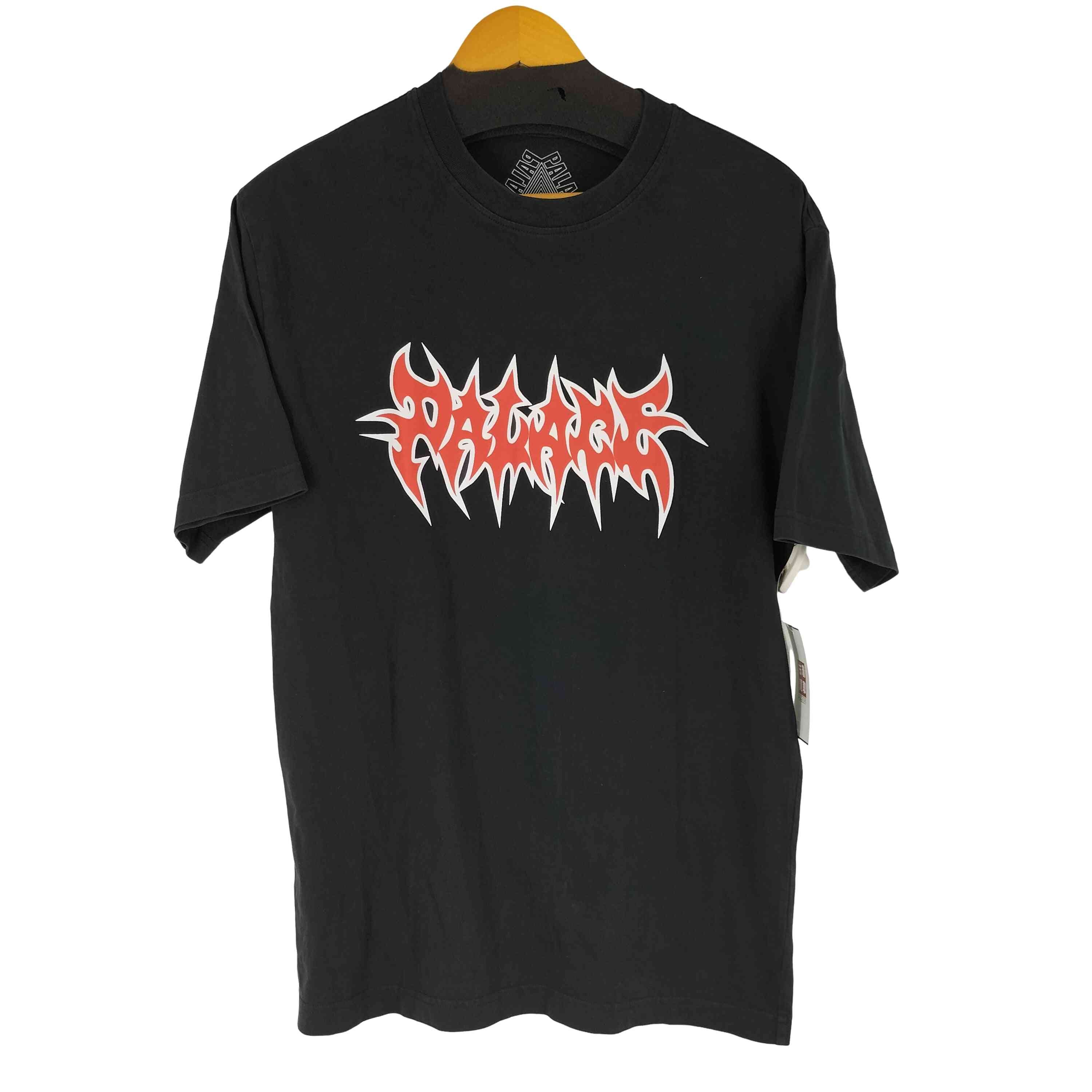 パレス PALACE バックフォトプリント フーディ メンズ JPN：S